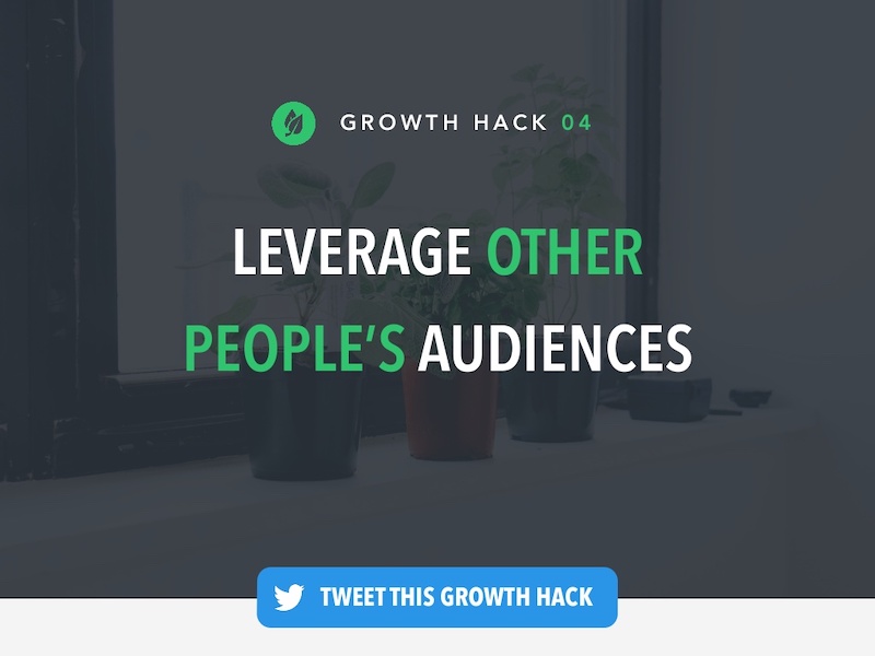 Growth Hack Marketing Presentation Ideas