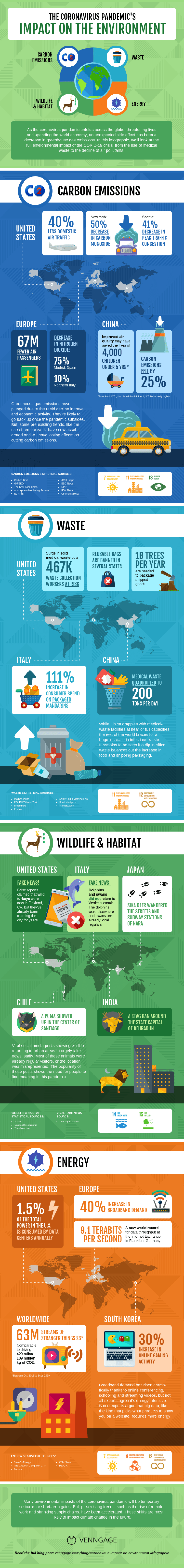 Pandemic's Environmental Impact Infographic Template