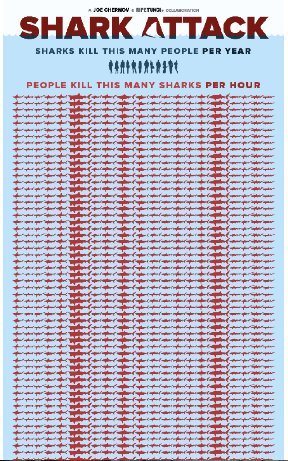 Shark Attack Nonprofit Infographic