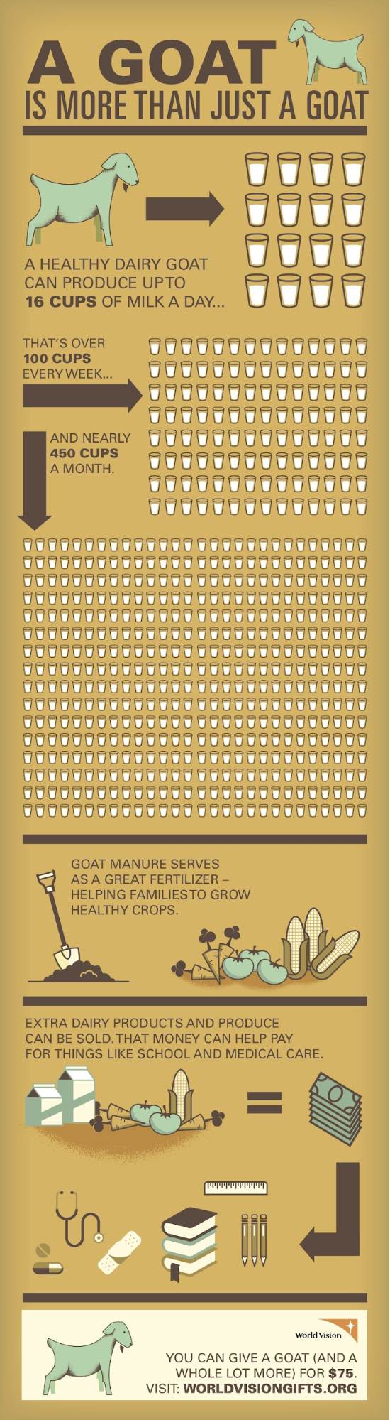 World Vision Goat Nonprofit Infographic