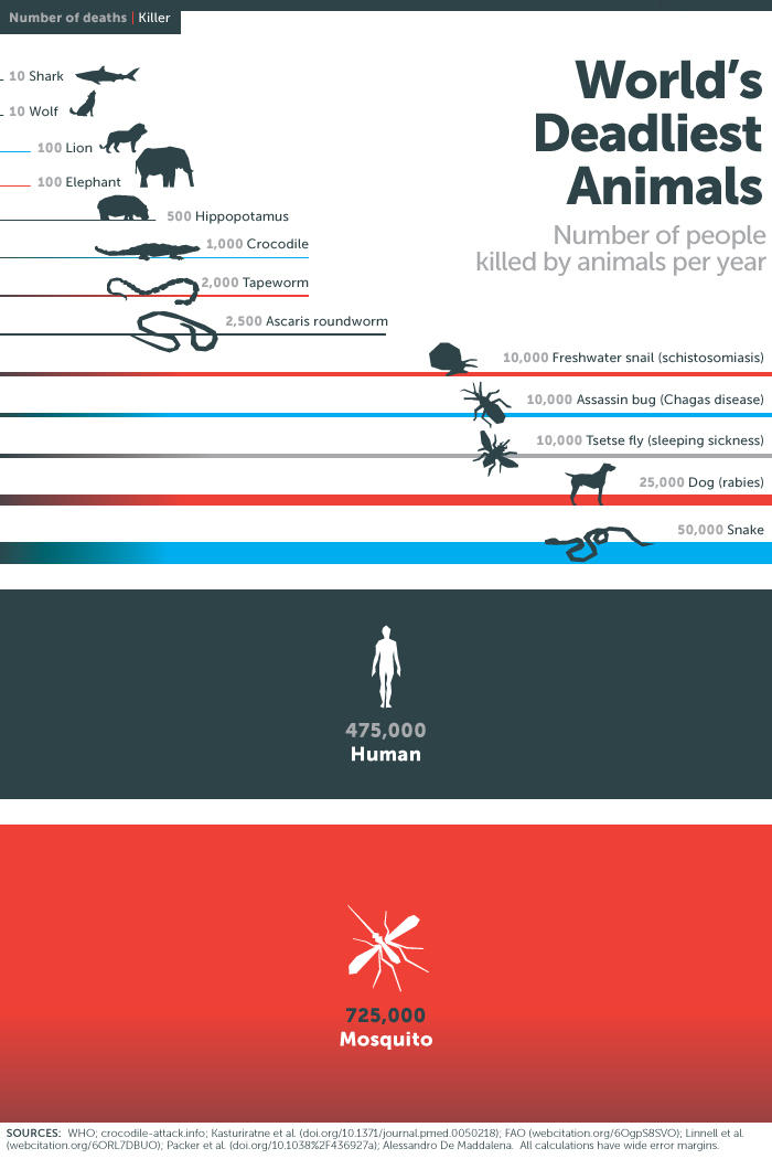 World's Deadliest Animal Gates Foundation Infographic