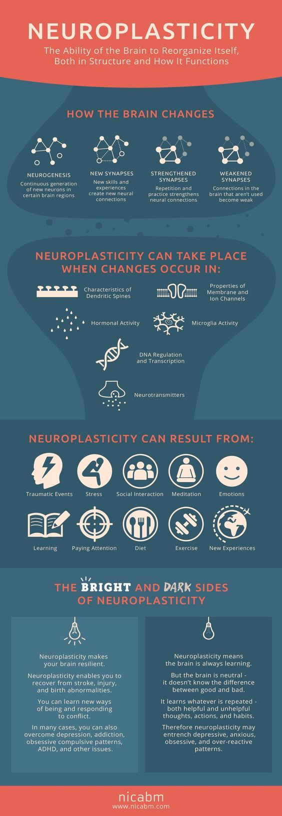 Neuroplasticity Science Infographic