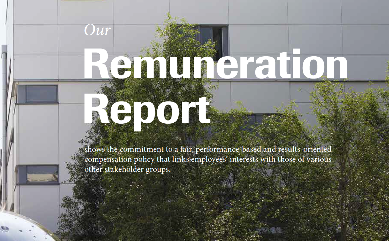 Roche Annual Report Example 2