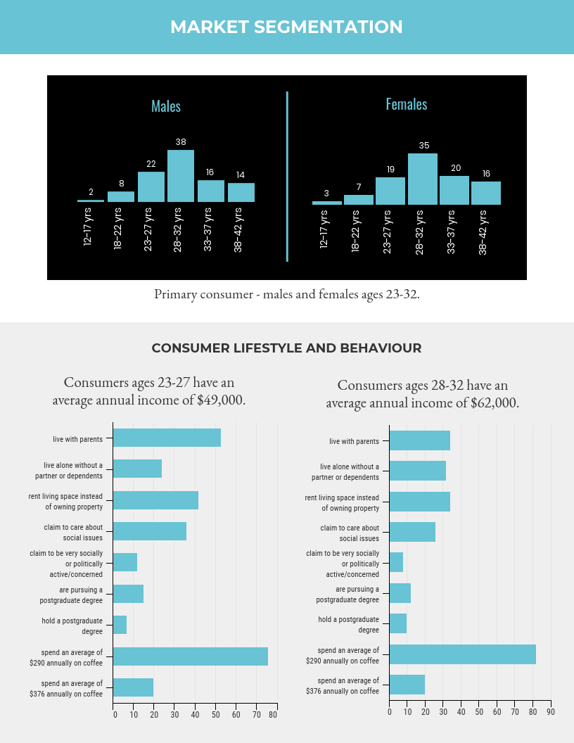 Business Plan Infographic 