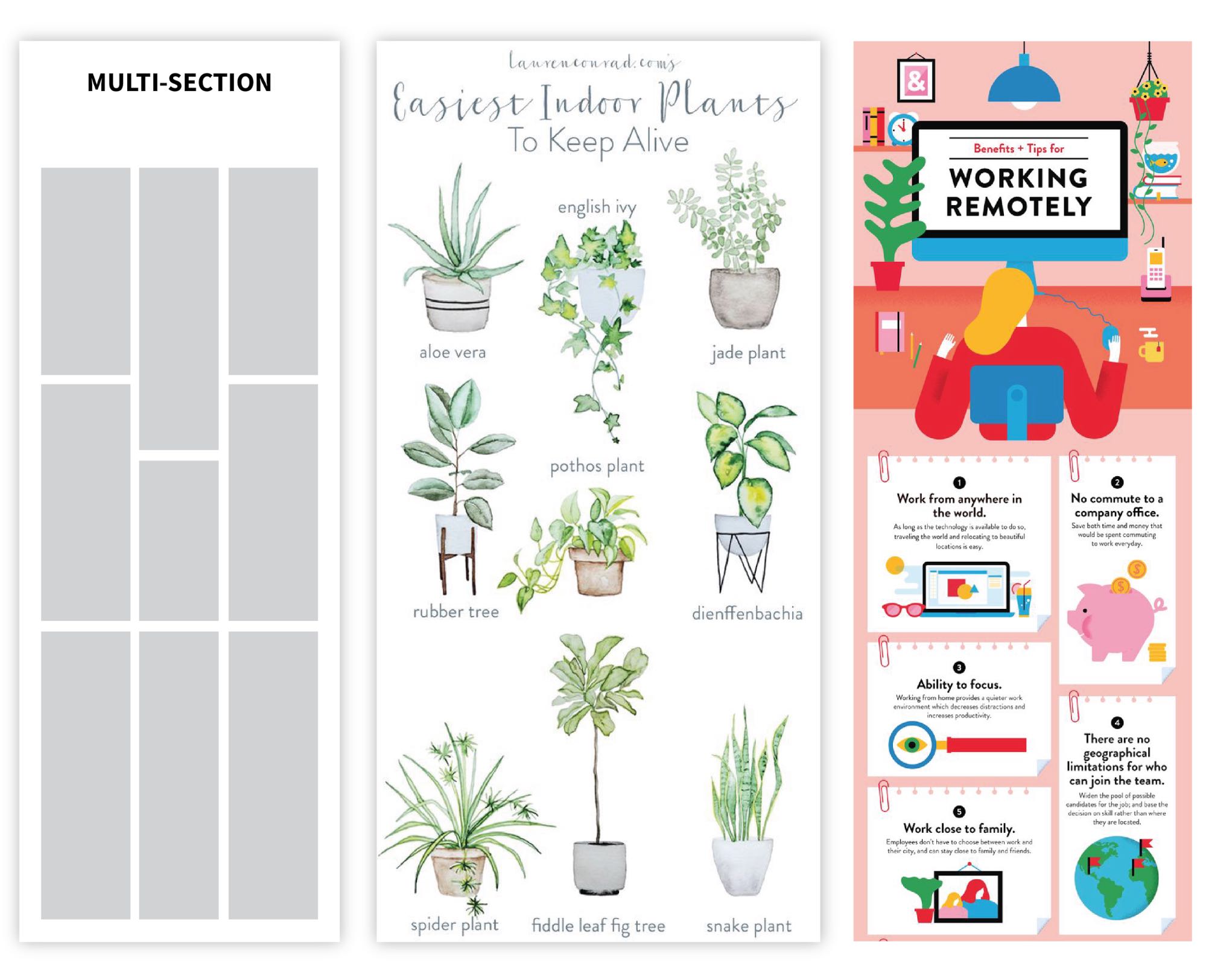 layout infografico