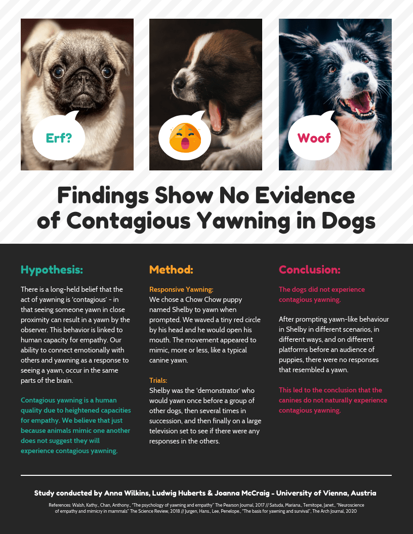 Research Infographic Dog Yawning