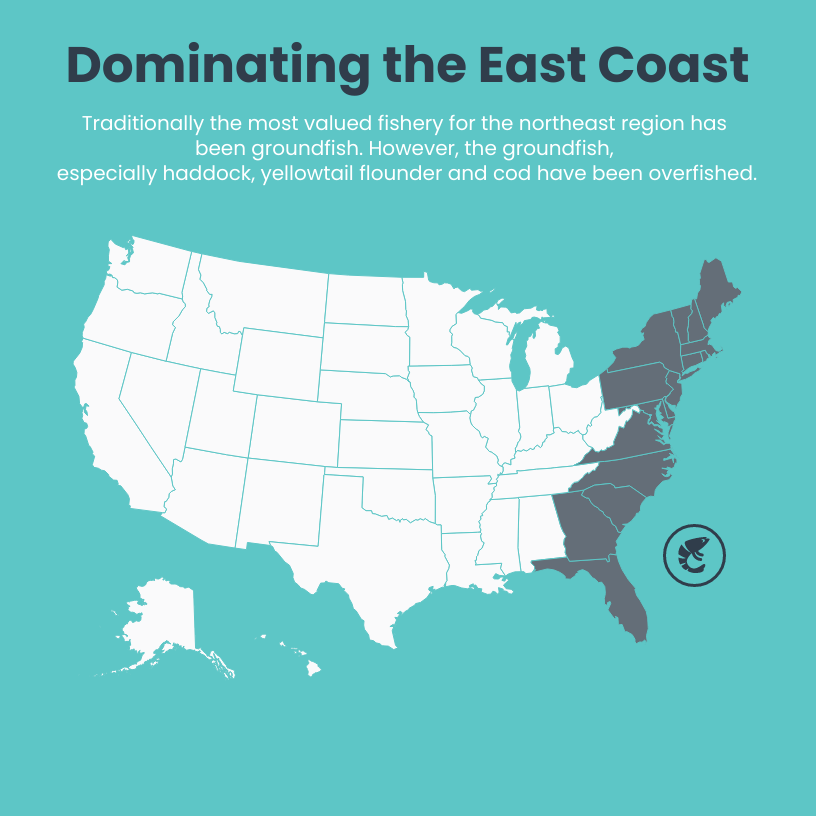 creating infographic maps