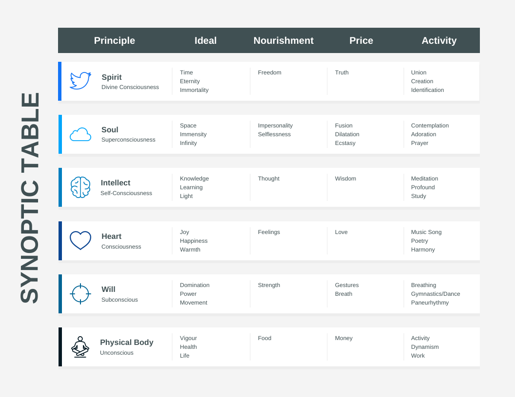 When and How to Create Table Infographics - Venngage