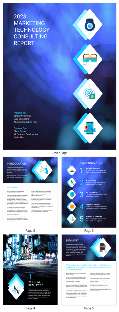 15+ Marketing Report Examples with Templates - Venngage