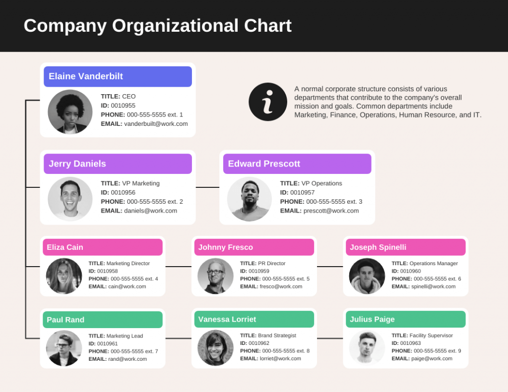 What is an Organizational Structure? [+Tips and Examples] - Venngage