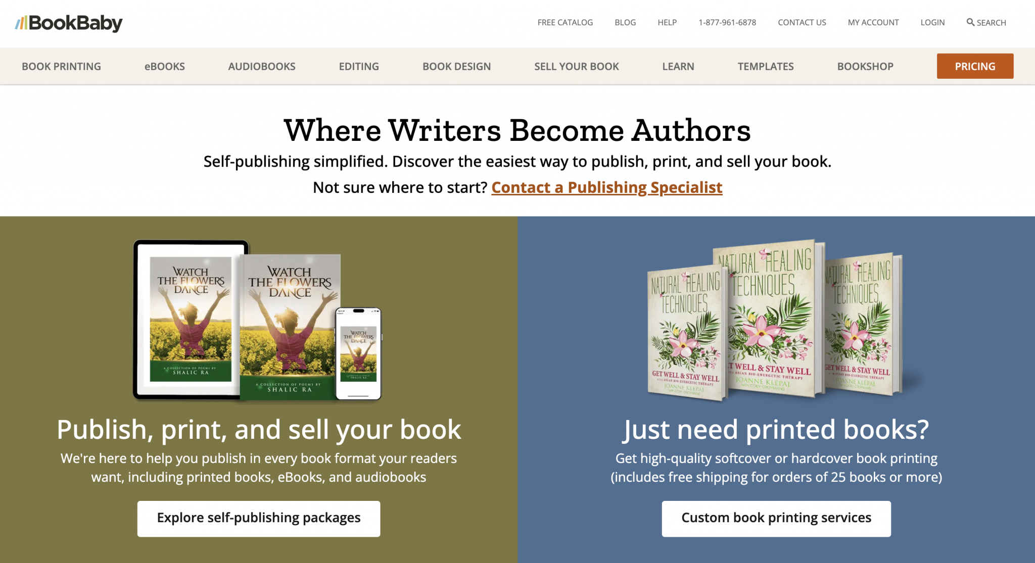 How To Make A Revenue From Selling Ebooks Online Venngage