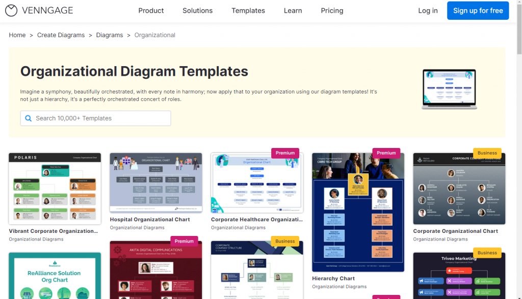 organizational chart templates venngage