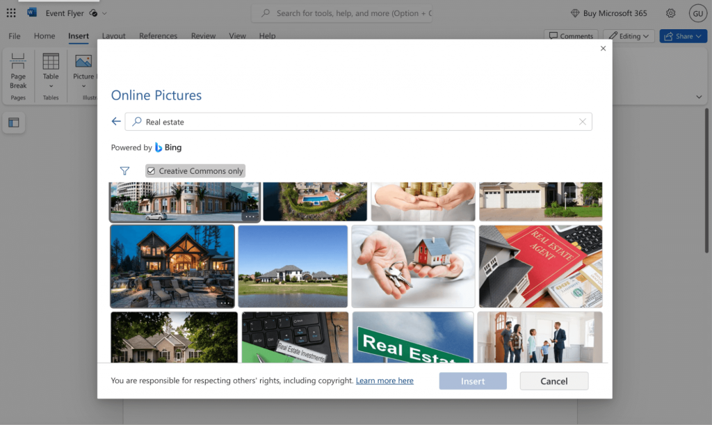 Online pictures in Word