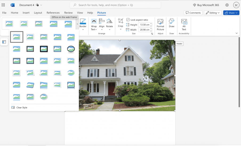 Customize image in Word