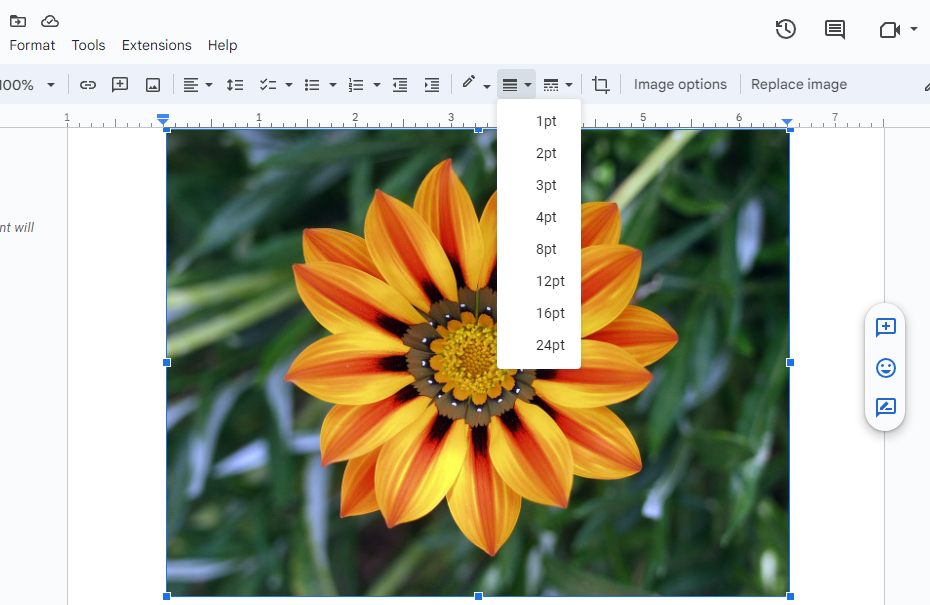 Choose customized border editing options for your image from the drop down

