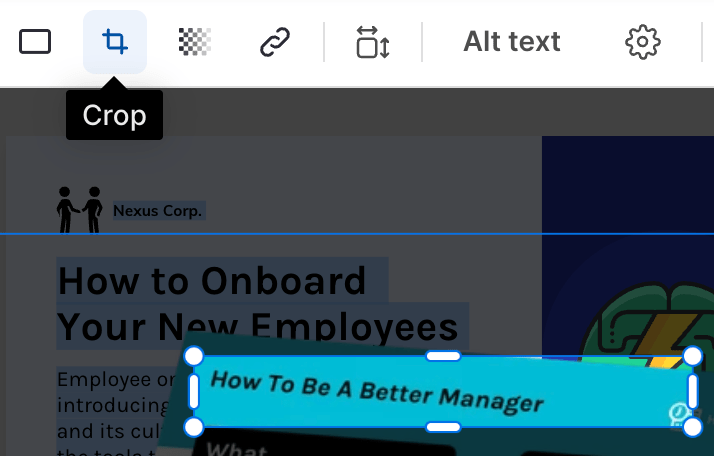 Venngage image cropping tool