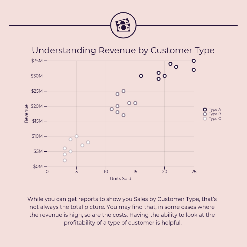 Revenue by Customer Type Scatterplot Template
