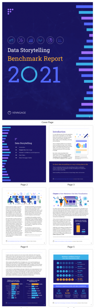 Data Storytelling Benchmarking Report Template