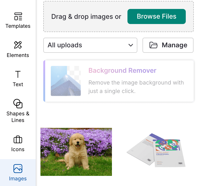 How to upload an image on Venngage 