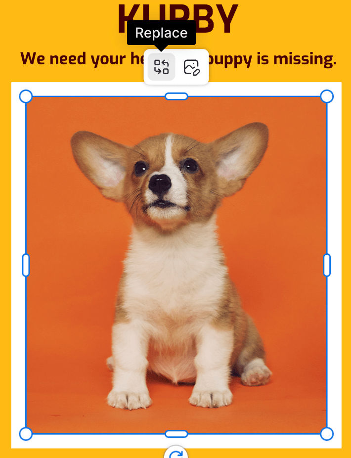 How to change the default image on Venngage