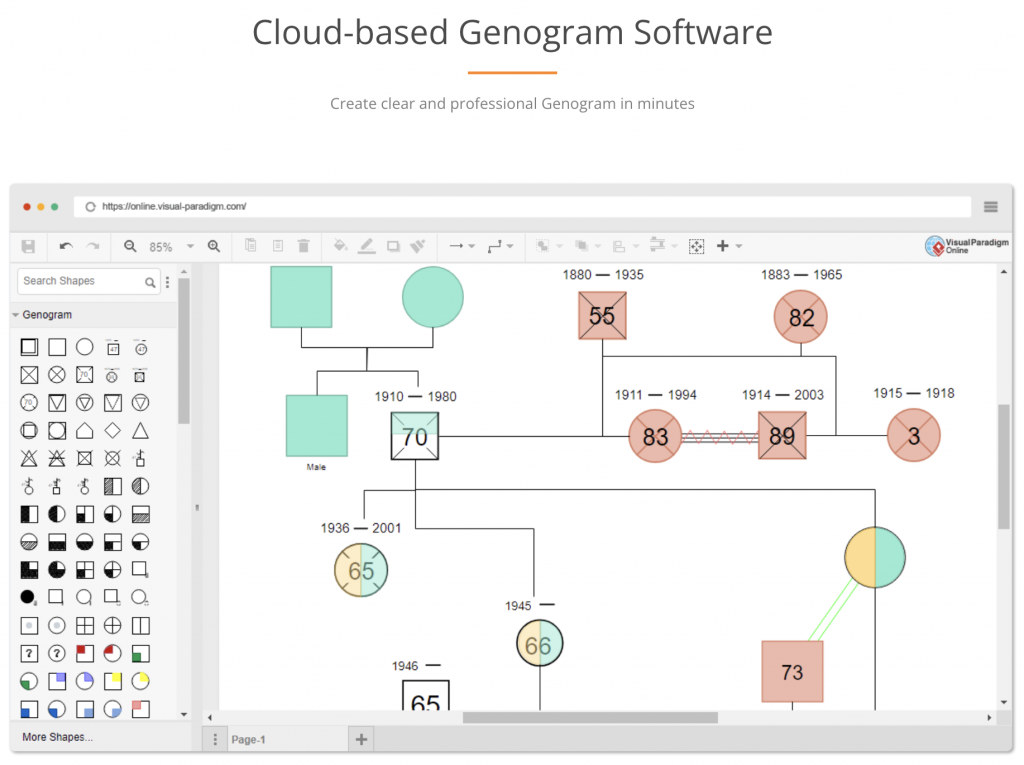 Visual Paradigm has genogram modeling with detailed attributes