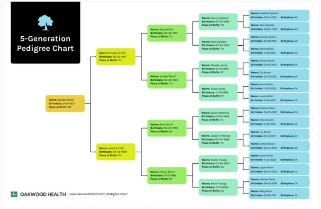 5-Generation Pedigree Chart Template