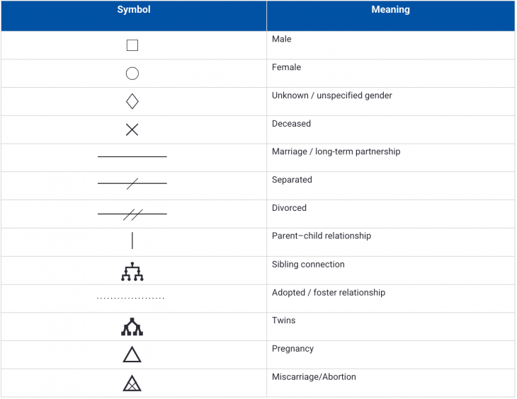 How to Make a Genogram in Microsoft Word (Step-by-Step)