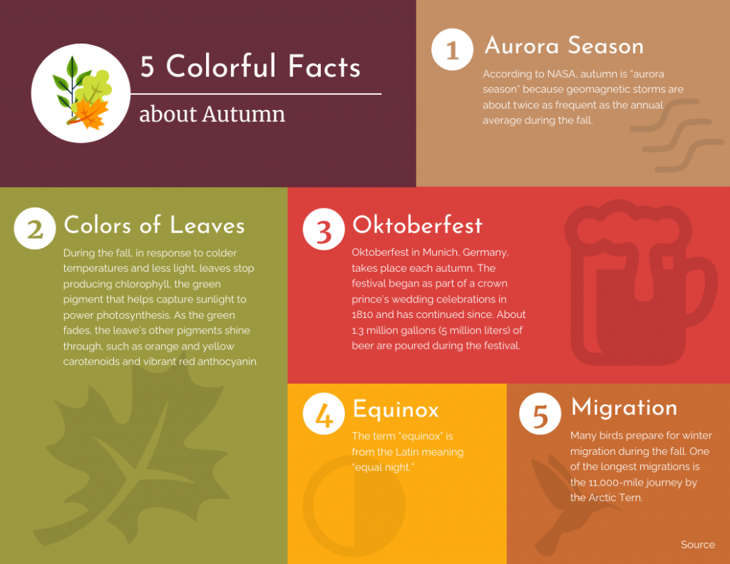 5 Interesting Fun Facts About Autumn Infographic Template